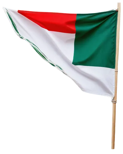 kuwaiti,italiani,sudan,giustizia,buon,neapolitan,burundi,ternana,apulia,omani,italiana,italico,tricolore,uae,italenergia,italiano,napoletano,siamo,valignano,vigano,Illustration,Vector,Vector 20