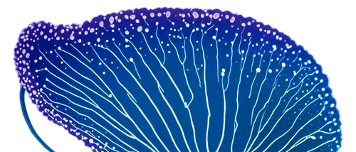 mushroom coral,blue sea shell pattern,palm tree vector,trilobyte,ctenophores,pteridium,dinoflagellate,dypsis,rotifer,trilobite,dinoflagellates,velella,tropical leaf,cytoskeletal,biosamples icon,choanoflagellates,growth icon,flagella,macula,cycad,Illustration,Retro,Retro 26
