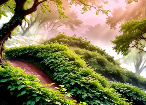 forest path,green forest,elven forest,background ivy,fairy forest,tea field,greenery,forest of dreams,tunnel of plants,green garden,verdant,pathway,tropical forest,tea garden,the mystical path,greenforest,kudzu,garden of eden,tree canopy,enchanted forest,Conceptual Art,Fantasy,Fantasy 24