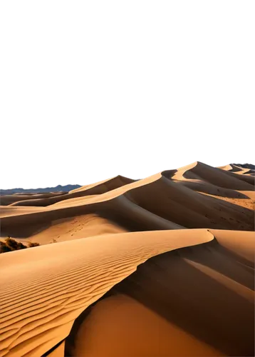 libyan desert,sahara desert,desert desert landscape,desert background,desert landscape,sahara,admer dune,gobi desert,desertification,arid landscape,merzouga,desert,dune landscape,capture desert,crescent dunes,dubai desert,sand dune,sand dunes,namib desert,sand texture,Conceptual Art,Oil color,Oil Color 18