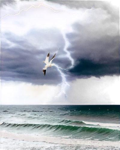 Stormy weather, dark clouds, heavy rain, strong wind, lightning flash, thunderbolt, turbulent waves, ocean spray, seagulls flying away, misty atmosphere, moody lighting, cinematic composition, shallow