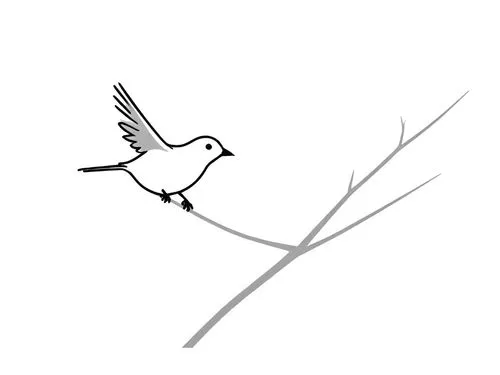 a bird is perched on the tree nch,dove of peace,peace dove,fairy tern,white dove,bird outline,tropicbird,Design Sketch,Design Sketch,Rough Outline