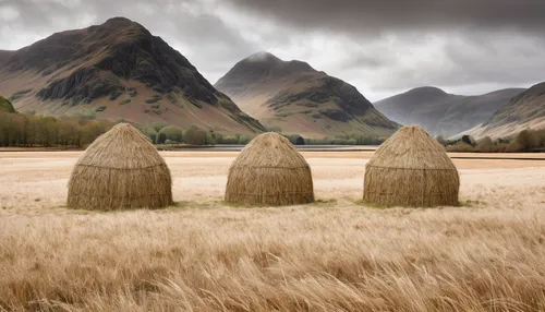 haystack,straw bales,bales of hay,mountain meadow hay,hay stack,straw hut,hay bales,round straw bales,round bales,three peaks,thatched roof,needle in a haystack,huts,straw roofing,thatch umbrellas,straw field,reed grass,hay bale,glencoe,new zealand,Art,Artistic Painting,Artistic Painting 44