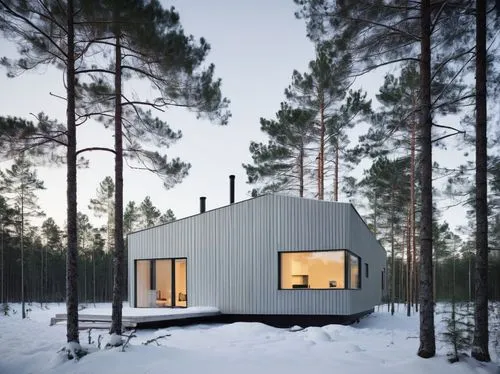 house in the forest,cubic house,timber house,inverted cottage,small cabin,snowhotel,winter house,cube house,snow house,snow shelter,mirror house,scandinavian style,holiday home,wooden house,summer house,prefabricated buildings,frame house,cabin,small house,wooden hut,Photography,Documentary Photography,Documentary Photography 04