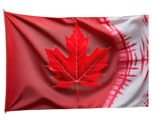 Maple leaf flag, Canada symbol, red background, white square, centered maple leaf, detailed veins, soft fabric texture, gentle waving motion, close-up shot, shallow depth of field, natural lighting, v