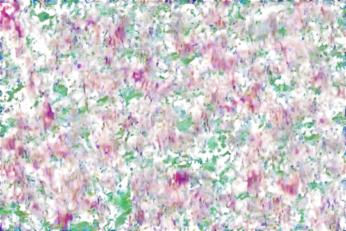 degenerative,kngwarreye,crayon background,hyperstimulation,multispectral,floral digital background,abstract background,seizure,generated,generative,colorful foil background,efflorescence,blooming field,stereogram,hyperspectral,stereograms,digiart,impressionist,background abstract,obfuscated,Art,Artistic Painting,Artistic Painting 20