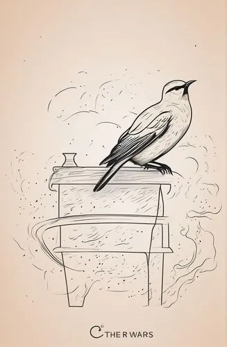 cd cover,the piano,corvus,album cover,the birds,birds of the sea,sloop-of-war,bird illustration,constellation swan,bird drawing,trumpet of the swan,corvidae,warble flies,hand-drawn illustration,lithograph,sparrows,pianist,poetry album,old world flycatcher,wagtail,Design Sketch,Design Sketch,Outline