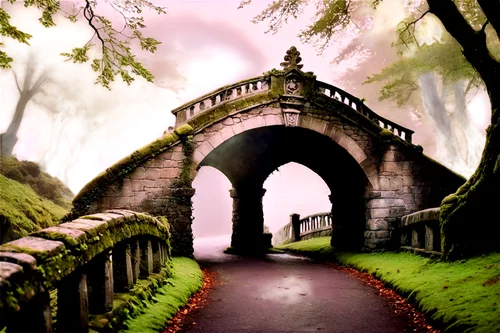 arch bridge,dragon bridge,archway,bridge arch,angel bridge,devil's bridge,tied-arch bridge,stone bridge,stone arch,the mystical path,gapstow bridge,heaven gate,hangman's bridge,old bridge,fantasy picture,cartoon video game background,scenic bridge,chapel bridge,walkway,bridge,Illustration,Realistic Fantasy,Realistic Fantasy 02