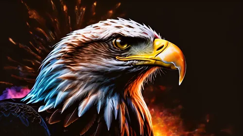 eagle illustration,eagle drawing,eagle,eagle vector,fire background,bald eagle,american bald eagle,imperial eagle,african eagle,eagle eastern,of prey eagle,mongolian eagle,eagle head,fenix,golden eagle,valor,digital painting,firehawks,gryfino,eagles,Photography,General,Natural