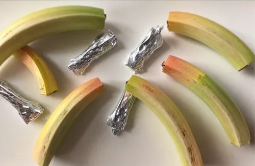 bright colours,banana peel,fruit slices,dolphin bananas,bananas,saba banana,monkey banana,cut fruit,banana,banana family,banana cue,eco-friendly cutlery,gap fruits,diagonal pliers,nanas,peels,round-no