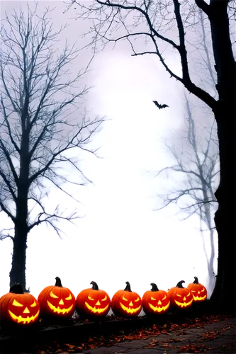 halloween background,halloween scene,halloween ghosts,halloween silhouettes,halloween frame,halloween border,hallows,halloween wallpaper,samhain,pumpkins,halloweens,halloween bare trees,retro halloween,spookiness,halloween and horror,spooktacular,halloweentown,happy halloween,pumpkinhead,hallloween,Photography,Fashion Photography,Fashion Photography 10