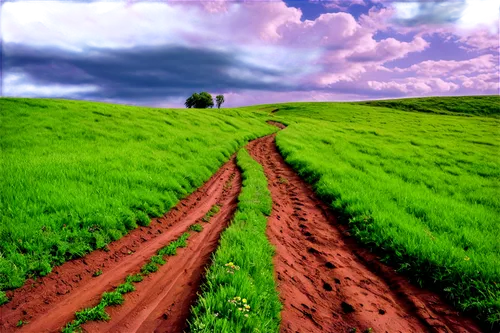 landscape background,green landscape,green fields,rural landscape,farm landscape,farmland,palouse,nature background,ploughed,onion fields,virtual landscape,cropland,cultivated field,vegetables landscape,nature landscape,wheat field,landscape nature,wheat fields,chives field,lavender field,Art,Artistic Painting,Artistic Painting 36