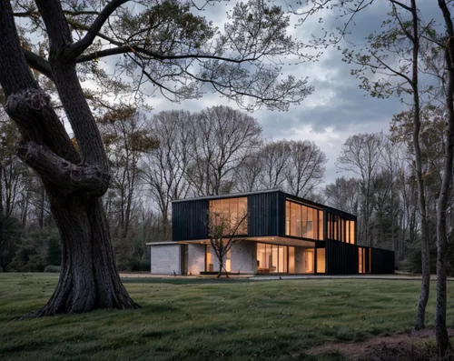 timber house,house in the forest,cube house,modern house,cubic house,dunes house,wooden house,summer house,inverted cottage,modern architecture,mid century house,frame house,residential house,house sh