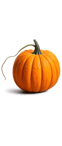 calabaza,kirdyapkin,pumpkin,pumkin,halloween pumpkin,garrison,gourd,pumpsie,cucurbit,pumpkin lantern,cucurbita,pumpkin autumn,pumpkin soup,hokkaido pumpkin,calabashes,pumkins,neon pumpkin lantern,pumpkin spider,pumpkins,halloween vector character,Illustration,Realistic Fantasy,Realistic Fantasy 36