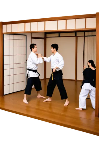 kajukenbo,aikido,kyokushin,judokas,shotokan,kenjutsu,dojang,karateka,bujinkan,tatami,aikikai,hapkido,judogi,bujutsu,taijutsu,iaido,kodokan,funakoshi,taekkyeon,kobudo,Illustration,Paper based,Paper Based 22