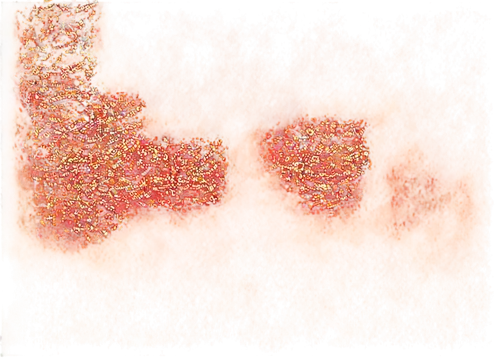 biofilm,paprika powder,orang,lava,cellular,angiomas,carrot print,chia,collagen,realgar,acid red sodium,magma,ragi,orange,tajin,molten,cheetos,goji,splotch,golgi,Photography,Fashion Photography,Fashion Photography 18