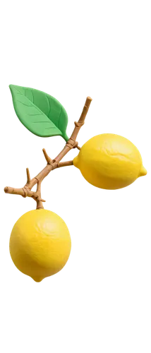 Lemon fruit, bright yellow skin, glossy surface, segmented flesh, green leaves, twig attached, naturalistic, 3/4 composition, shallow depth of field, warm color tone, soft lighting, transparent backgr