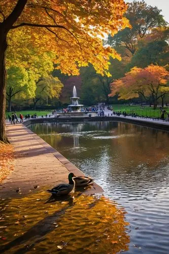 Central Park, New York City, autumn season, vibrant fall foliage, sun-drenched afternoon, Bethesda Fountain, Loeb Boathouse, walking paths, lush greenery, weeping willows, deciduous trees, benches, la