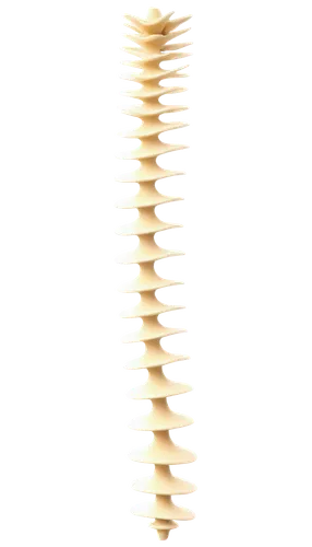 spine,spines,cervical spine,strozzapreti,wooden spinning top,helical,spiral book,neck,dna helix,rotini,jenga,anellini,vertebrae,pillar,shuttlecock,wood skeleton,ribcage,chair png,broken pasta,conchiglie,Illustration,Black and White,Black and White 26