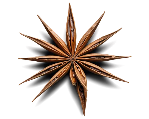 star anise,moravian star,christ star,six-pointed star,six pointed star,star abstract,compass rose,salsify,wood daisy background,astropecten,echinochloa,cyperus,star flower,gold spangle,black salsify,stellated,advent star,magic star flower,stellation,christmas star,Illustration,Paper based,Paper Based 30