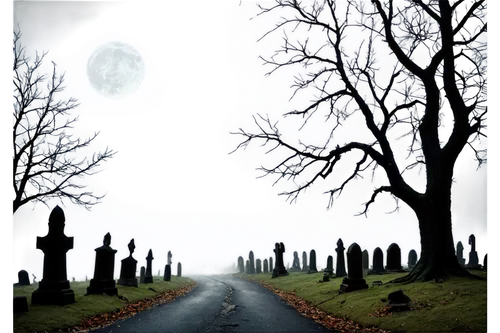 halloween background,halloween poster,graveyards,tombstones,grave stones,samhain,cemeteries,halloween frame,halloween border,gravestones,dead end,burial ground,cemetary,epitaphs,covens,moonsorrow,interment,life after death,forest cemetery,graveyard,Conceptual Art,Sci-Fi,Sci-Fi 08