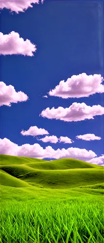 landscape background,grasslands,plains,gras,virtual landscape,grassland,cartoon video game background,green fields,windows wallpaper,flatlands,palouse,springtime background,3d background,spring background,nature background,green landscape,meadow landscape,grassfields,prairies,frog background,Illustration,Black and White,Black and White 18