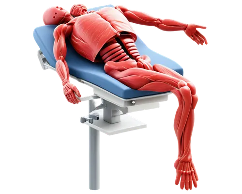 chair png,osteopath,chiropractic,osteopathy,osteopathic,musculoskeletal,osteopaths,chiroscience,physiotherapy,osteoporotic,sciatica,new concept arms chair,chiropractor,physiotherapists,neurorehabilitation,electrotherapy,biomechanically,office chair,neuromuscular,chiropractors,Unique,3D,Toy