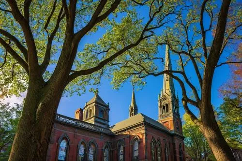 pcusa,collegiate basilica,penn,mdiv,uvm,josephinum,depauw,rensselaer,harvard,gallaudet university,steeples,duquesne,princeton,yale,slu,gallaudet,muhlenkamp,presbyterian,seminary,soulard,Photography,Documentary Photography,Documentary Photography 15