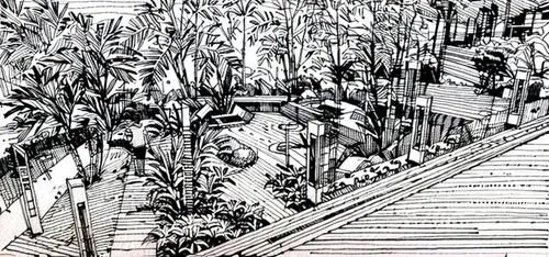 terraces,tunnel of plants,fruit fields,pond plants,escalator,canopy walkway,palm garden,palm field,garden elevation,botanical line art,terraced,pen drawing,footbridge,rice terrace,garden of plants,gar