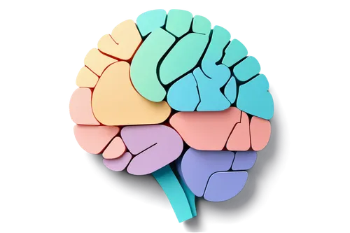 brain icon,periventricular,brainlab,ventricles,neuroanatomical,brainstem,neurodegenerative,thalamocortical,intraparietal,neurophysiological,neuroanatomist,thalamic,parietal,cerebrum,brain structure,hindbrain,neuromodulation,encephalopathies,frontotemporal,amygdala,Unique,Paper Cuts,Paper Cuts 04