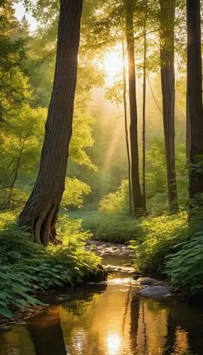 Em uma clareira frondosa, cercada por árvores altas e densa vegetação, um pequeno riacho serpenteia suavemente, refletindo os raios dourados do sol poente. À sua margem, ergue-se um abrigo simples, fe