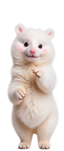 hamster,gerbil,rat,ferret,rataplan,fatayer,aquafaba,rat na,opossum,rodent,mammal,possum,dormouse,jerboa,weasel,fat,common opossum,whitey,white footed mouse,chinchilla,Photography,Fashion Photography,Fashion Photography 14