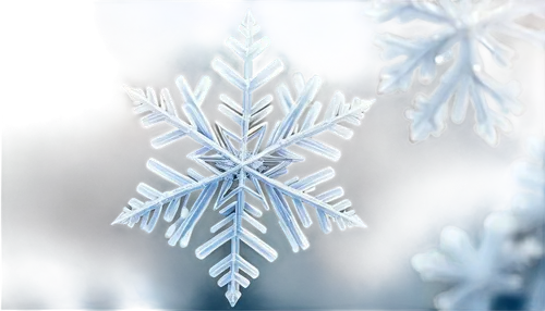 snowflake background,christmas snowflake banner,white snowflake,blue snowflake,snow flake,snowflake,ice crystal,winter background,christmas snowy background,snowflakes,snow crystals,snow flakes,frostiness,frostily,gold foil snowflake,frosts,frostbitten,christmasbackground,crystalize,dendrites,Photography,Documentary Photography,Documentary Photography 22