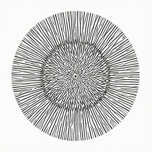 spirography,spirograph,spectrum spirograph,cardioid,dendrochronology,anisotropic