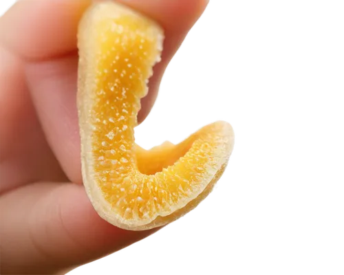 sliced tangerine fruits,half slice of lemon,orange slices,dried lemon slices,slice of lemon,lemon slices,satsuma,orange slice,orange fruit,lemon background,citrus,unpeeled,navel orange,lemon - fruit,juicy citrus,orange yellow fruit,lemon slice,semolina,half orange,sunndi,Photography,Documentary Photography,Documentary Photography 24