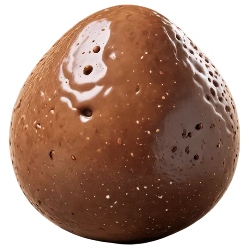 Brown turd, realistic texture, detailed cracks, glossy surface, rounded shape, solo, center composition, warm lighting, shallow depth of field, close-up shot, soft focus background.

Let me know if yo