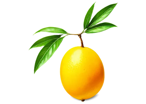 lemon background,lemon wallpaper,pineapple background,yellow orange,pineapple wallpaper,defend,mangue,orange yellow fruit,repnin,yellow fruit,mango,lemon,ananas,yellow background,citron,green oranges,citrus,green tangerine,bromelain,oranges,Conceptual Art,Sci-Fi,Sci-Fi 23