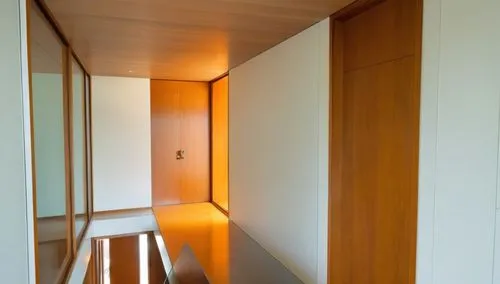 hallway space,walk-in closet,room door,hallway,associati,recessed,hinged doors,mudroom,paneling,corridor,garderobe,corten steel,doorframe,wood mirror,interior modern design,mahdavi,architraves,contemporary decor,laminated wood,wardrobes,Photography,General,Realistic