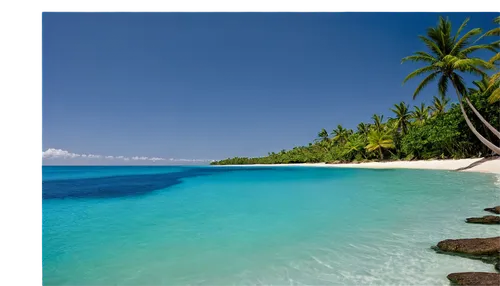 lakshadweep,cook islands,maldive islands,maldive,mentawai,micronesia,comores,tropical beach,samoa,grenadines,coconut trees,atolls,savaii,antilles,veligandu island,wakatobi,kurumba,fiji,tuvalu,white sandy beach,Photography,Documentary Photography,Documentary Photography 12