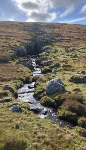 brook landscape,moorland,the brook,yorkshire dales,mountain stream,stream bed,high moor,bullers of buchan,watercourse,fluvial landforms of streams,whernside,glen of the downs,streams,fountain of the moor,flowing creek,gap of dunloe,wensleydale,upper derwent valley,upper water,valley of desolation,Conceptual Art,Oil color,Oil Color 12