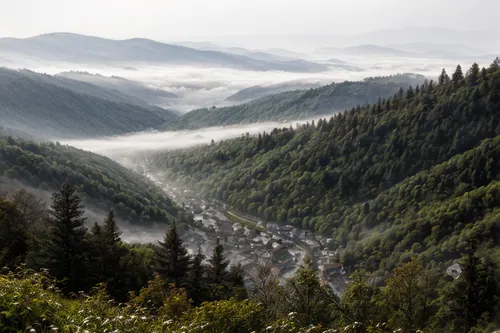 sharp focus, landscape, looking down into the valley, mist, mountains, Bob Ross style!,carpathians,the russian border mountains,foggy mountain,slowinski national park,great smoky mountains,temperate c