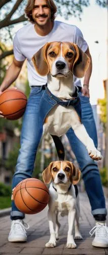 beagles,basketballs,dog street,bassets,dogana,abitbol,nintendogs,bounderby,chihuahuas,basketball,nba,ballhandler,airballs,dogrib,playing dogs,dog frame,two running dogs,two dogs,sparapet,dogs,Illustration,Retro,Retro 24