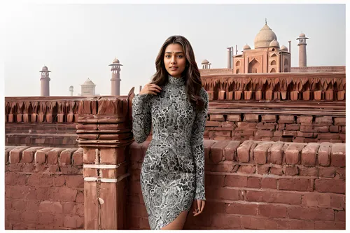 delhi,jaipur,new delhi,indian paisley pattern,taj mahal hotel,agra,tajmahal,india,taj mahal,rajasthan,amber fort,mehendi,indian girl,girl in a historic way,royal lace,islamic pattern,ethnic design,bollywood,taj machal,diwali