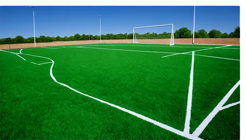 artificial turf,football pitch,soccer field,soccer-specific stadium,football field,artificial grass,athletic field,playing field,corner ball,quail grass,volleyball net,soccer,sport venue,football equipment,boundary line,sports ground,gable field,levanduľové field,football stadium,turf,Illustration,American Style,American Style 01