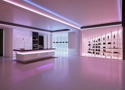 walk-in closet,shoe store,showroom,gold bar shop,wine cellar,beauty room,women's closet,boutique,search interior solutions,interior modern design,fitness room,interior design,modern room,lighting system,music store,closet,shoe cabinet,gallery,nightclub,interior decoration,Photography,General,Realistic