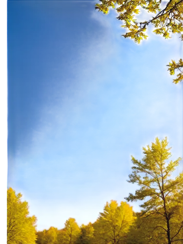 autumn frame,round autumn frame,background view nature,pinhole,photosphere,virtual landscape,lenticular,sky of autumn,360 ° panorama,beech forest,nature background,autumn sky,treeline,polarizer,coniferous forest,stereoscopic,deciduous forest,photogrammetric,handycam,kaaterskill,Photography,Black and white photography,Black and White Photography 03