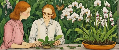 Create a dialogue between two botanists discussing the cultivation techniques for moth orchids.,lilly of the valley,lily of the field,illustration of the flowers,two tulips,lilies of the valley,jonqui