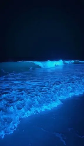 bioluminescent,bioluminescence,dark beach,blue light,phosphorescence,sea night