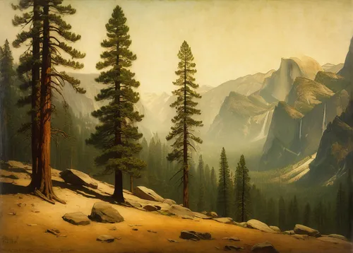 salt meadow landscape,mountain scene,mountain landscape,larch forests,coniferous forest,temperate coniferous forest,forest landscape,spruce forest,spruce-fir forest,larch trees,spruce trees,mountainous landscape,spruce needle,yellow fir,pine trees,mountain meadow,silvertip fir,yosemite park,yosemite,landscape background,Art,Classical Oil Painting,Classical Oil Painting 44