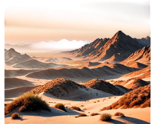 desert desert landscape,dune landscape,desert landscape,libyan desert,gobi desert,namib desert,namib,desert background,crescent dunes,desert,sahara desert,dubai desert,capture desert,argentina desert,the desert,the gobi desert,sand dunes,arid landscape,admer dune,sahara,Conceptual Art,Sci-Fi,Sci-Fi 11